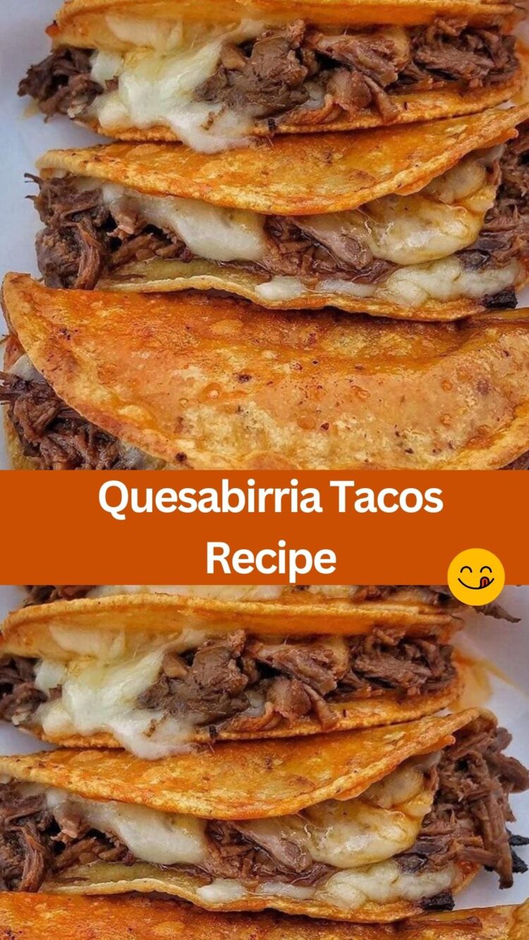 Quesabirria Tacos Recipe WEEKNIGHT RECIPES