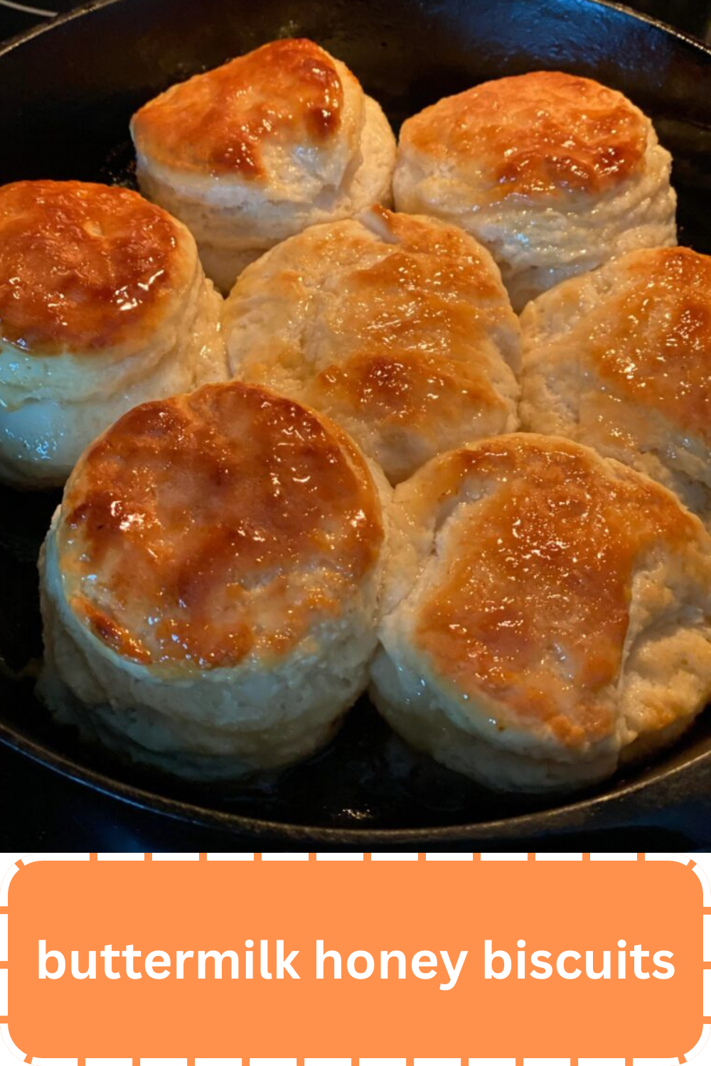 buttermilk honey biscuits - WEEKNIGHT RECIPES buttermilk honey biscuits - WEEKNIGHT RECIPES