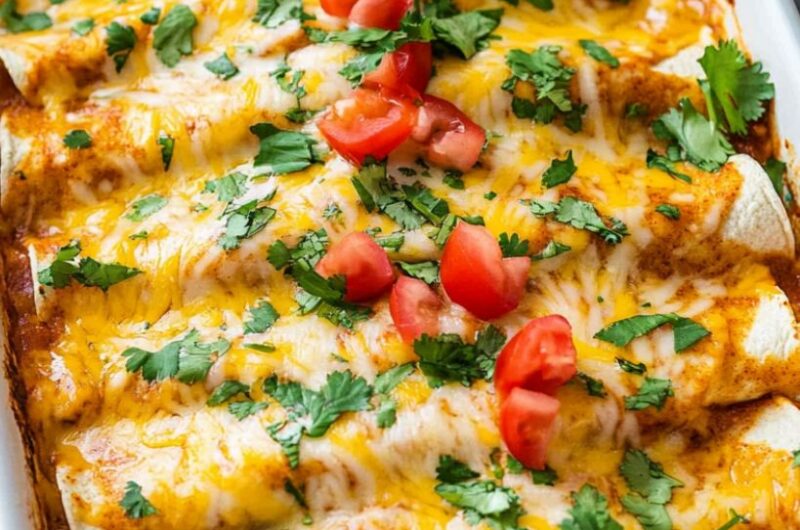 Chicken Enchiladas Recipe